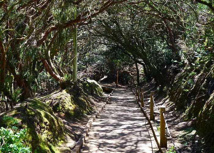 アパート Cristianplaya Attic ロスクリスティアーノス